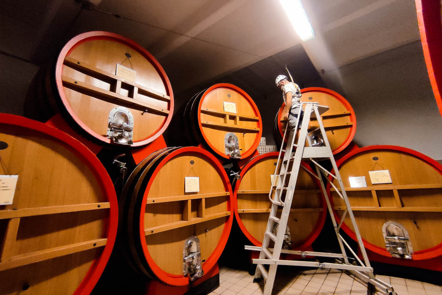 Linee Vita: Rischio di Caduta dall'Alto in ambiente di Lavoro