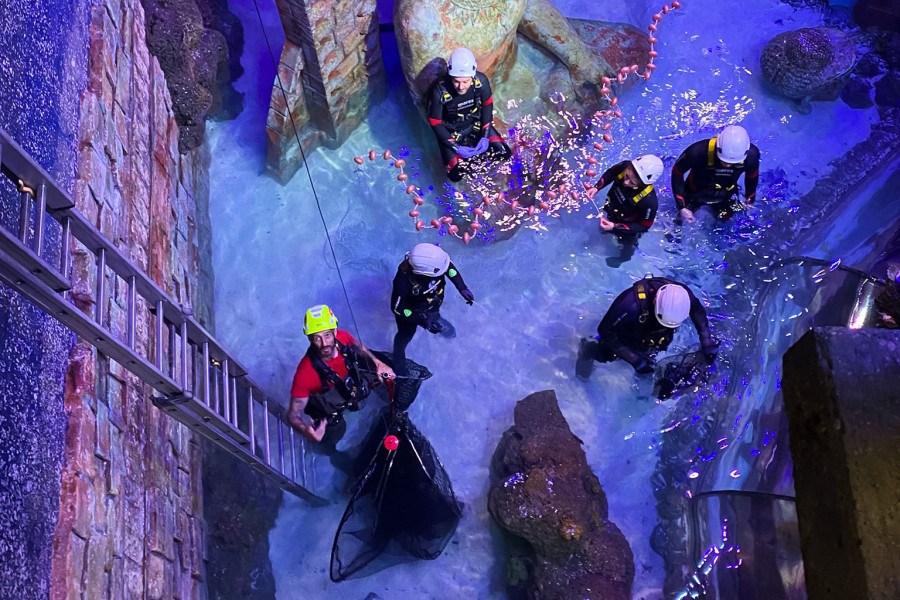 Soccorso industriale: soccorso in vasca in spazio confinato