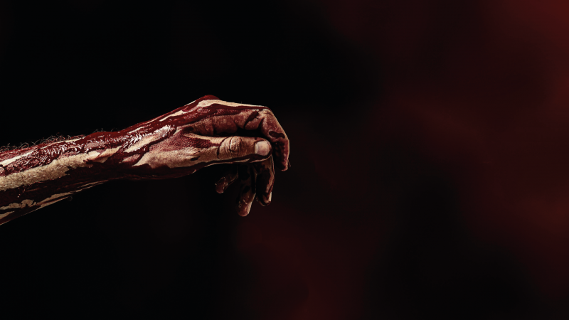 Corso di formazione Stop the Bleed